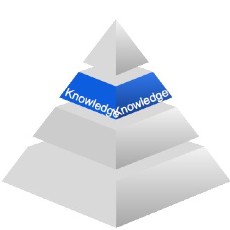 Data literacy pyramid tier 2, knowledge