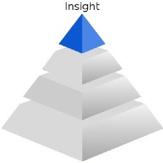Data literacy pyramid tier 1, insight